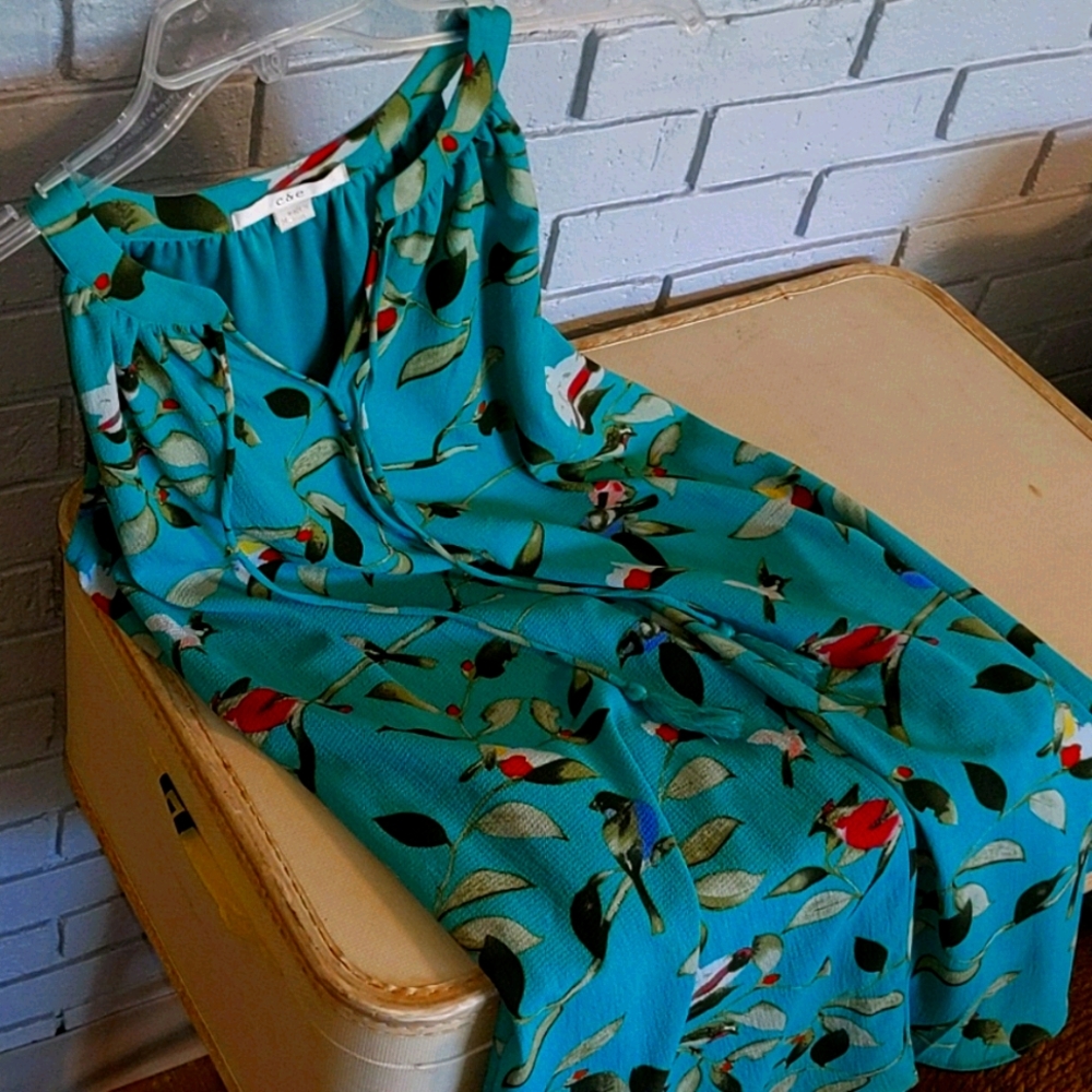 Teal dress with birds